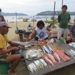 Fischverkauf am Strand