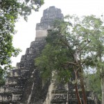 Tikal - Hauptpyramide