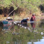Fischen in der Lagune