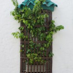 Cartagena - Fensterdeko