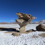 Arbol del Piedra - der Steinbaum